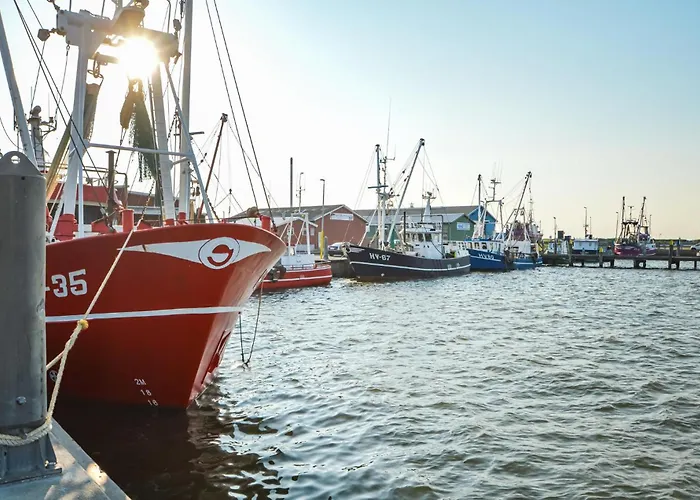 Dyssebjergvej Romo Denm