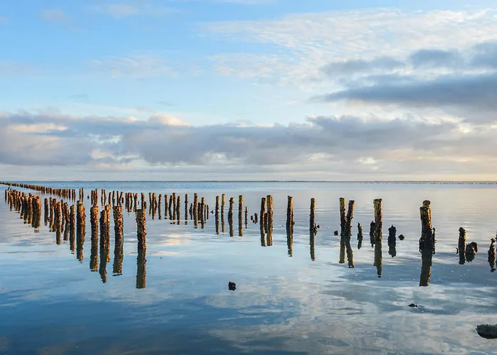 Dyssebjergvej Romo Denm Semesterbostad Rømø Kirkeby